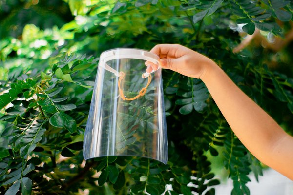 Dividendes : Source de Revenu Passif ou Danger Caché pour les Investisseurs ?